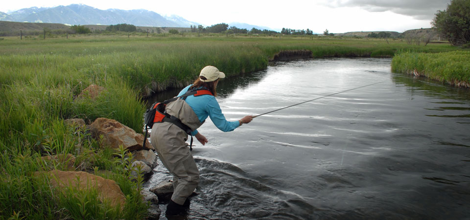 Blue Ribbon Trout Streams of Montana