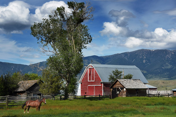 Madison Valley Horse Ranch in Jeffers, Montana