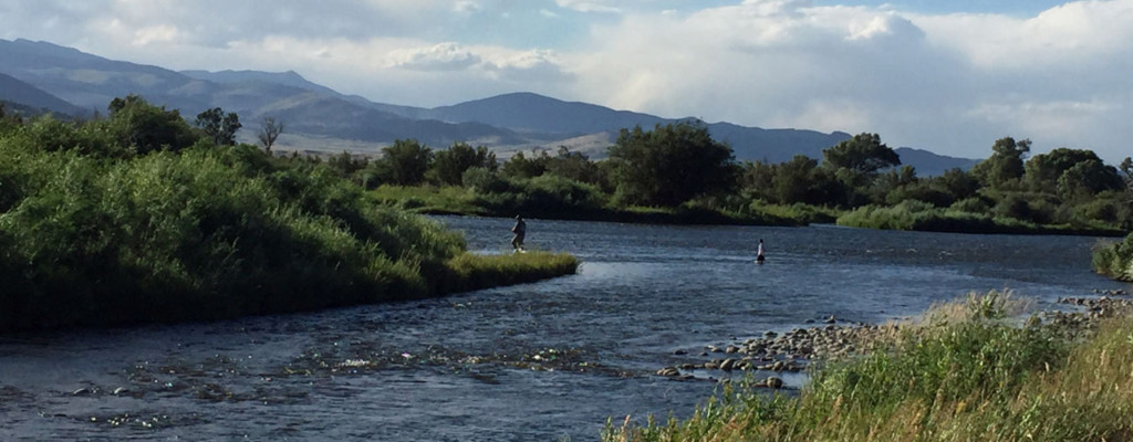 Montana's O'Dell Spring Creek