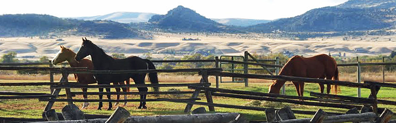 Horse Corrals at the Rainbow Valley Lodge in Ennis Montana Horse Corrals at the Rainbow Valley Lodge in Ennis Montana